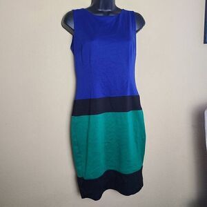 Enfocus Studio Colorblock Dress 